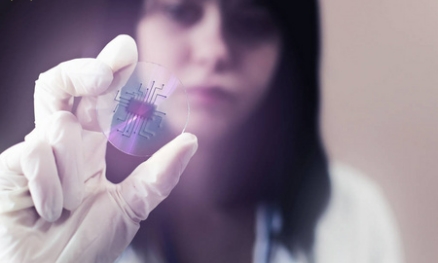 Explore voice chips